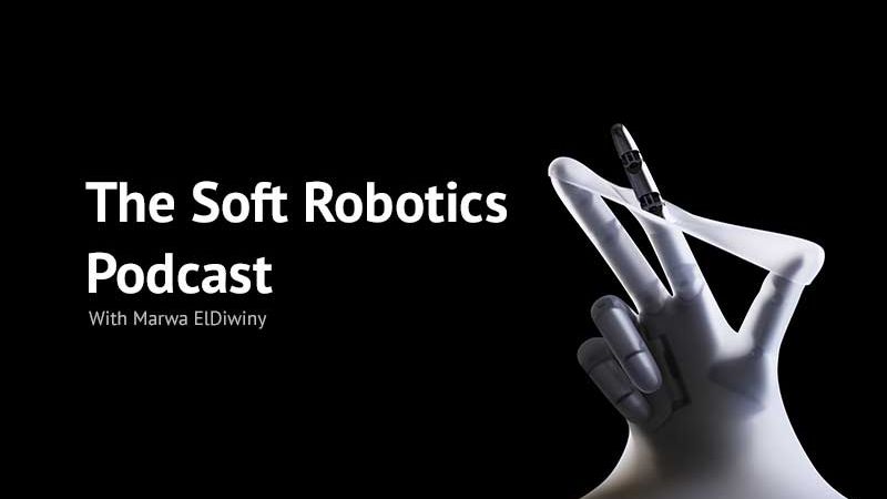 Soft Robotics With Metin Sitti