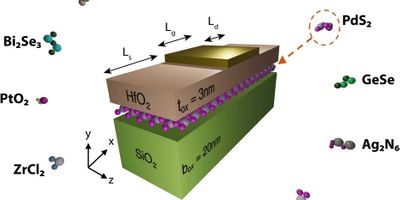 Structure of a single-​gate FET with a channel made of a 2-D material. Arranged around it are a selection of 2-D materials that have been investigated. (Graphics: ETH Zurich / EPFL / CSCS)