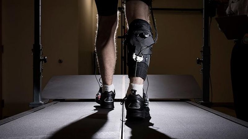 Rear view of the ankle-assisting exosuits with its soft robotic elements and the cable that transfers mechanical power from actuators operated from the hip to the ankle join. (Image courtesy of the Rolex Awards/Fred Merz)