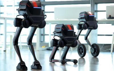 Bipedal Robots Step Into The Scene