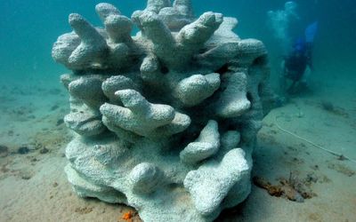 3D printing aids the design of artificial reefs at Sustainable Oceans International