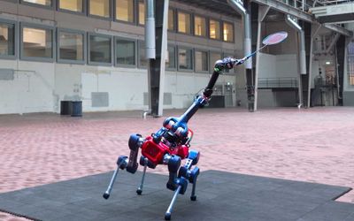 Playing badminton against a robot