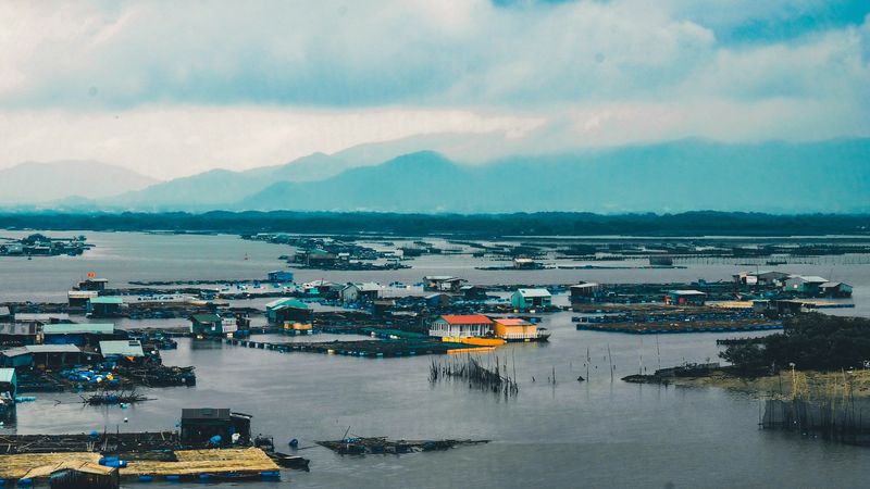 Photo by Nguyen Kiet on Unsplash