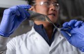 Aluminum Materials Show Promising Performance for Safer, Cheaper, More Powerful Batteries