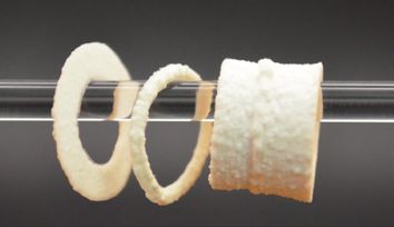 A 3D printable scaffold to support fast bone growth