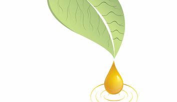 Cracking carbon-carbon bonds in lignin to make sustainable aviation fuels