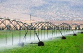 Cellular IoT helps farmers use water wisely