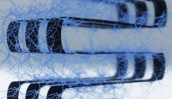 New 3D device harnesses living brain cells for computing