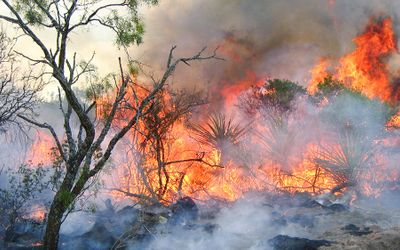 Researchers using data to reduce wildfire risk