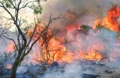 Researchers using data to reduce wildfire risk