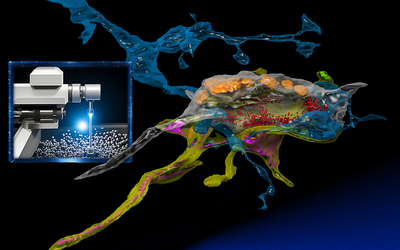 Using AI to optimize for rapid neural imaging