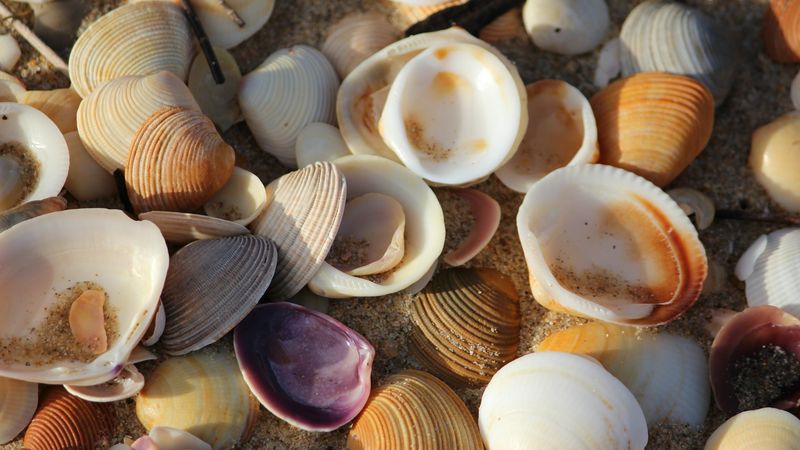 Photo by Mandy Henry on Unsplash