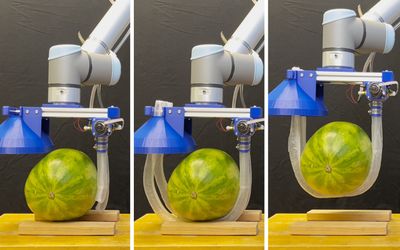 Vine-inspired robotic gripper gently lifts heavy and fragile objects