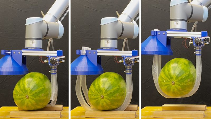 The researchers demonstrated that the vine robot can safely and stably lift a variety of heavy and fragile objects, like a watermelon. Credit: Courtesy of the researchers