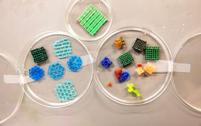 Toughened hydrogels could replace cartilage, skin and more