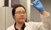 New protein biosensors could help rapidly diagnose kidney injuries