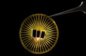 Podcast: Size Matters: Tiny Biomimicry Leads to Big Breakthroughs