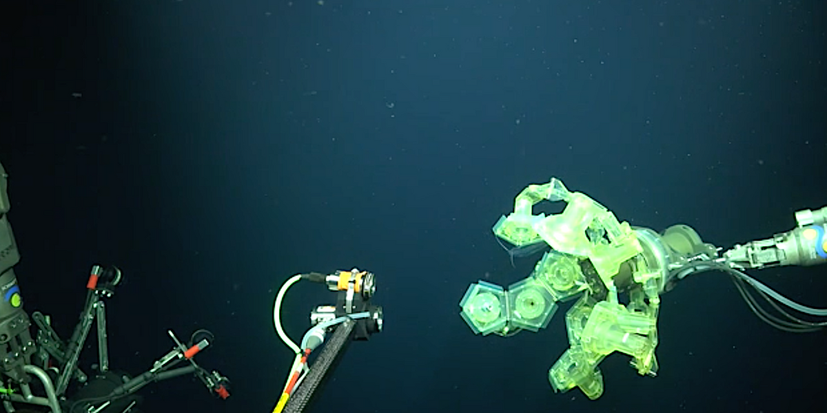 Research demonstrates success of new technology in conducting deep-sea research on fragile organisms