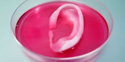 3D Printing Human Tissue... Coming Soon To A Hospital Near You