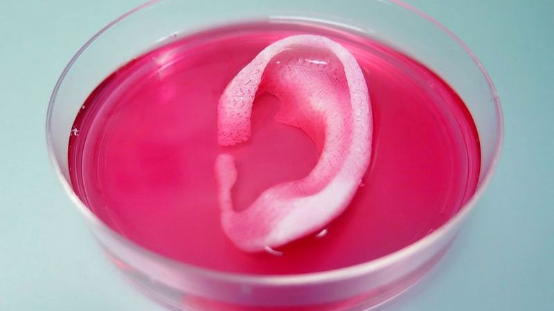 3D Printing Human Tissue... Coming Soon To A Hospital Near You