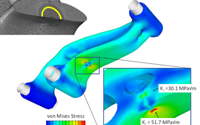 Fracture Mechanics Analysis of Topology-Optimized Parts