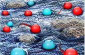 Researchers Explore a Hydrodynamic Semiconductor Where Electrons Flow Like Water