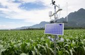 Integrated Photonics Spotlight: Innovations in Sensing and Environmental Monitoring