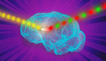 Engineers boost signals from fluorescent sensors