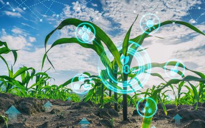 AI can change how farmers water their fields from cloud to soil