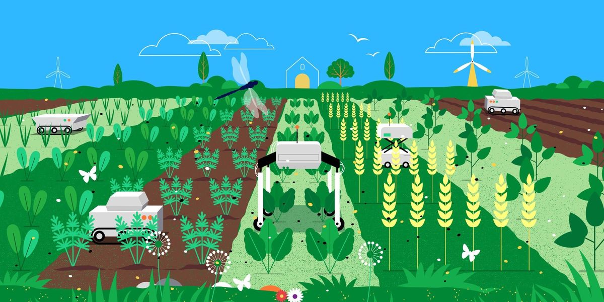 Small, autonomous robots will make it possible to grow several different crops on the same field and that can help improve biodiversity. Illustration: Mark Airs.