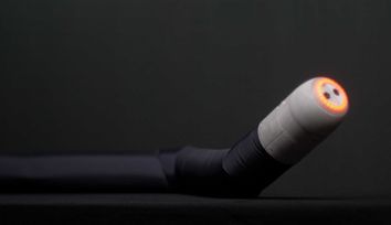 The snake that saves lives