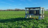 Autonomous agricultural robots revolutionize organic farming