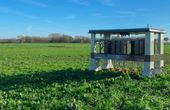 Autonomous agricultural robots revolutionize organic farming