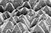 Silicon-perovskite solar cells achieve record efficiency of 25,2 percent