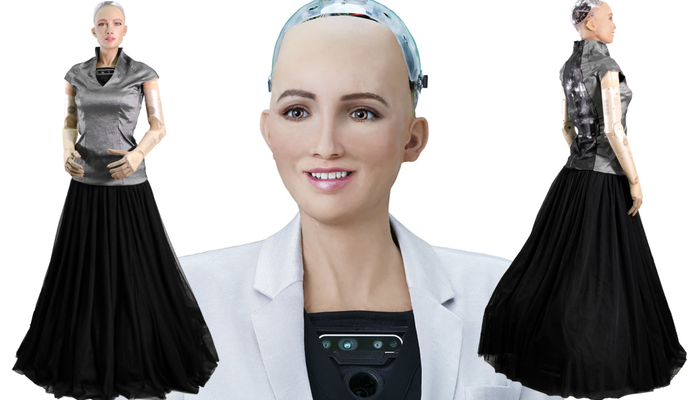 Realistic best sale robot woman