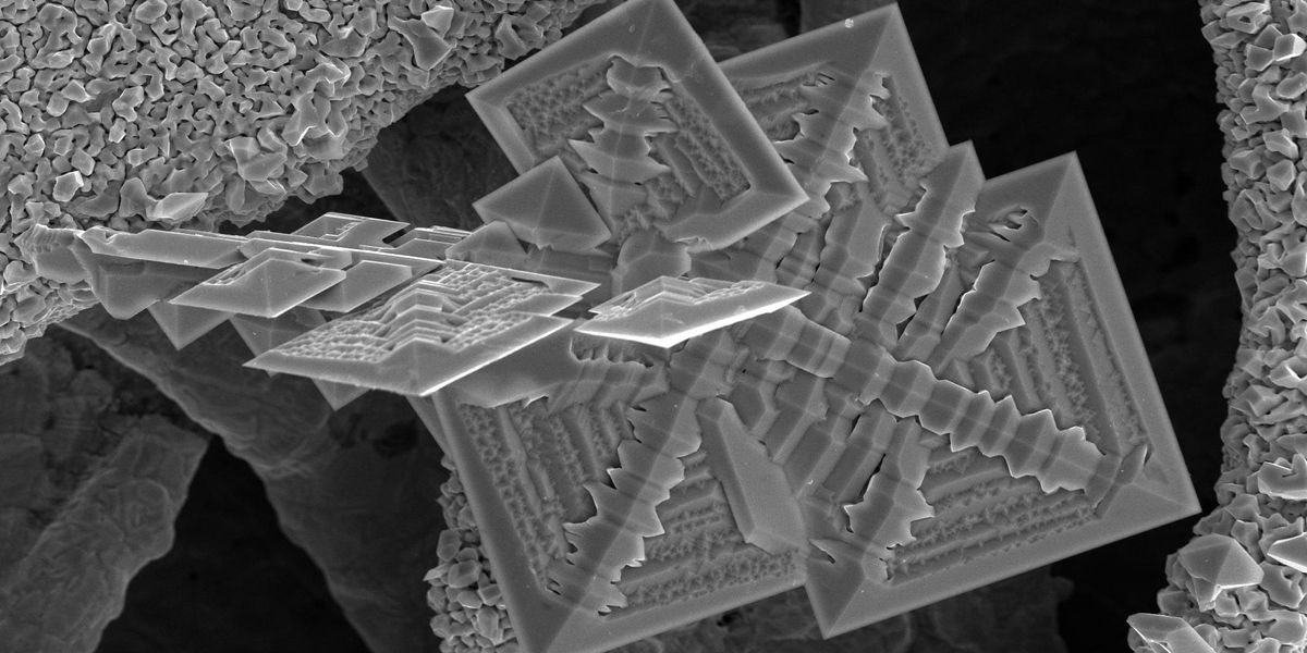 A scanning electron microscope image of tin crystals, stimulated by electricity and growing on a copper surface. A new method developed by Princeton researchers could speed up the process of designing and testing new crystalline materials. Image by Lynn Trahey, Argonne National Laboratory