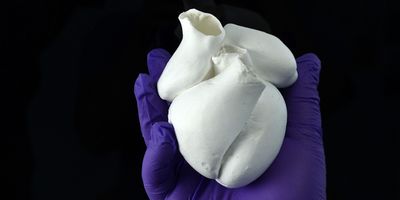 A major step forward for organ biofabrication