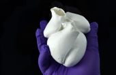 A major step forward for organ biofabrication