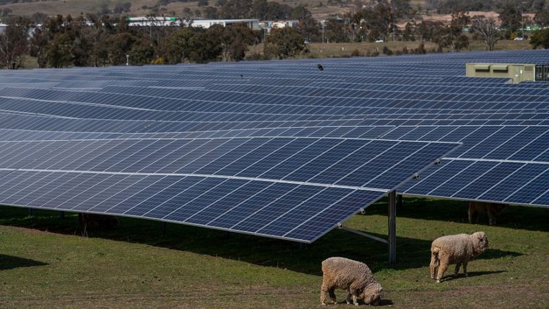 A solar farm near Hume in the ACT. Photo: Lannon Harley/ANU