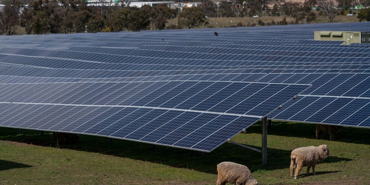 A solar farm near Hume in the ACT. Photo: Lannon Harley/ANU