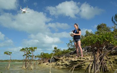 Drones Offer Ability to Find, ID and Count Marine Megafauna