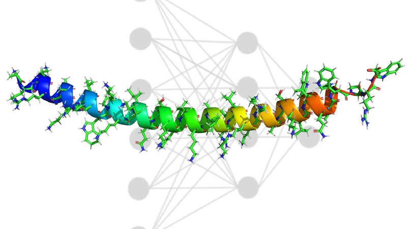 MIT researchers combined experimental chemistry with artificial intelligence to discover non-toxic, highly-active peptides that can be attached to phosphorodiamidate morpholino oligomers (PMO) to aid drug delivery. By developing these novel sequences, researchers hope to rapidly accelerate the development of gene therapies for Duchenne muscular dystrophy and other diseases. Credits:Image courtesy of the the researchers.
