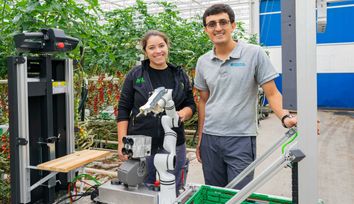 A picking robot for the greenhouse