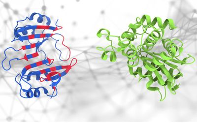 PeSTo: a new AI tool for predicting protein interactions
