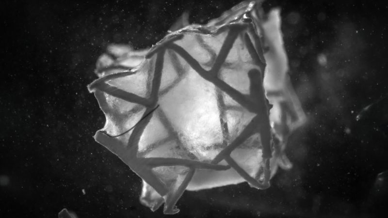 Illustration of the 3D-printed scaffold, which contracts in heart tissue  (Image: Soft Robotics Laboratory / ETH Zurich)