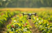 Growing a Cleaner Future with Agritech and Cleantech