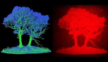 3D holographic head-up display could improve road safety