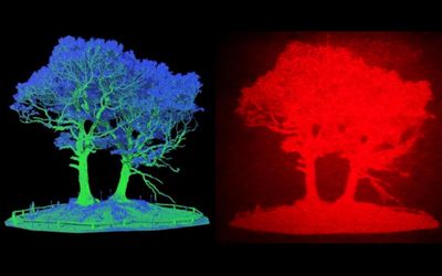 3D holographic head-up display could improve road safety