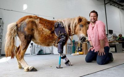 Developing 3D printed Prosthetics for Pets with nTop Platform