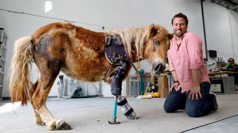 Derrick of Bionic Pets modeling a front limb prosthetic